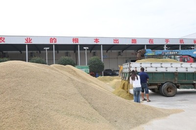 湖南省全面啟動早稻收購，推廣預(yù)約收購新模式