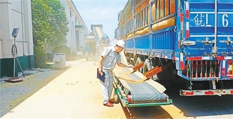 構(gòu)建我國糧食安全長效機(jī)制 確保不出現(xiàn)大面積“賣糧難”